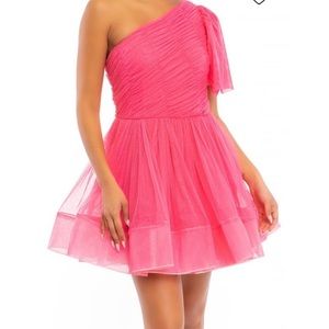 Hot Pink Tulle Dress